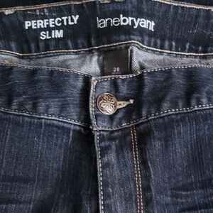 Lane Bryant Blue Slim Fit Jeans Classic Style